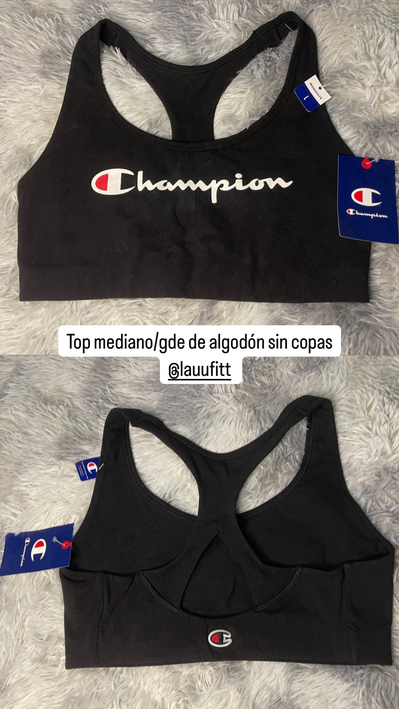 Top Champions